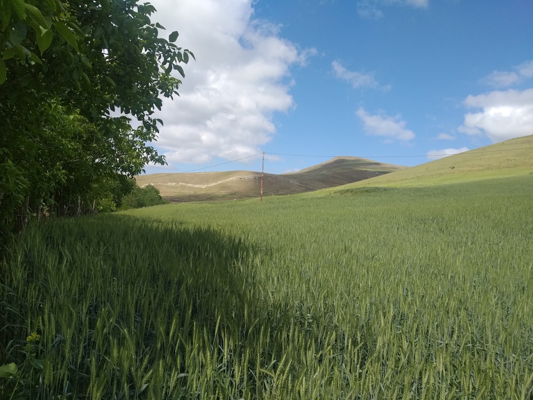 A complex Vulkan rendering pipeline diagram with various stages like command buffers, render passes, and shaders.